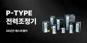 P-TYPE